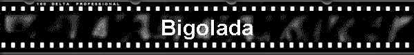 Bigolada