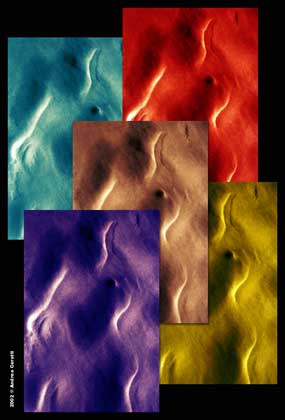 vColorSnow.jpg (14497 byte)