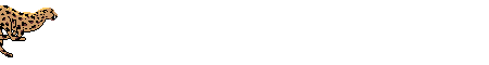 lunghe126.gif (8099 byte)